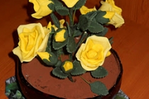 Tort Ghiveci  cu trandafiri/Pots with Roses Cake